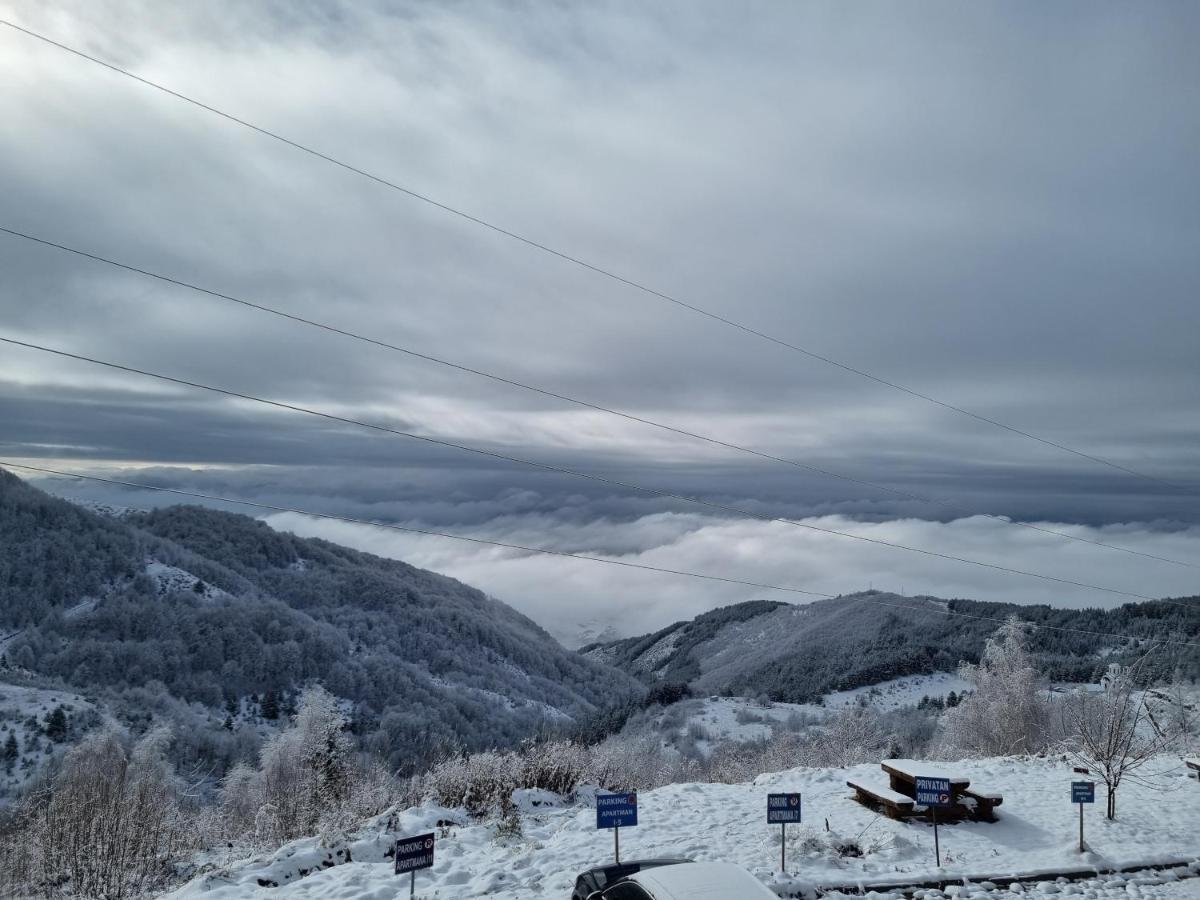 Silver Mountain Milmari Kopaonik Eksteriør billede