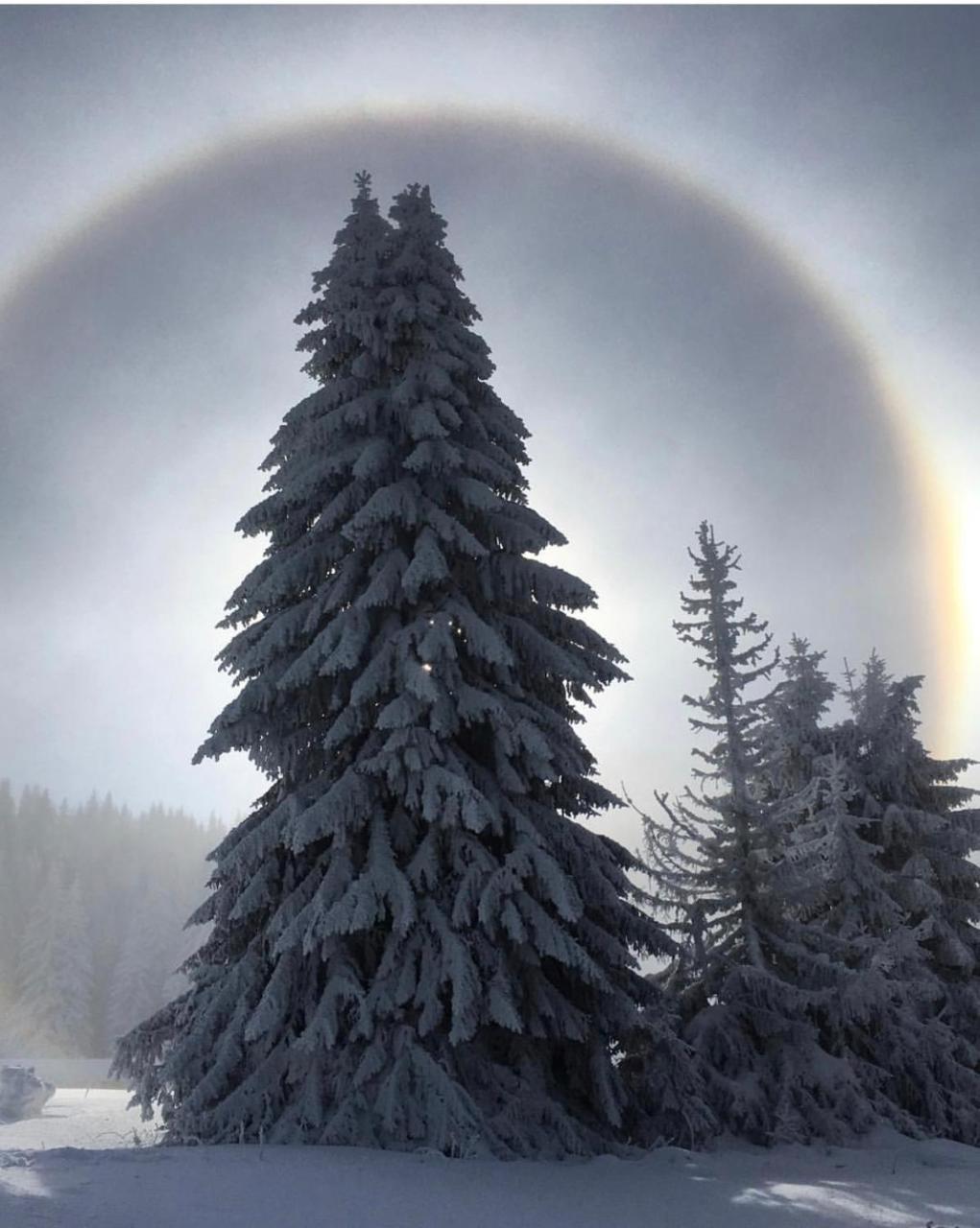 Silver Mountain Milmari Kopaonik Eksteriør billede