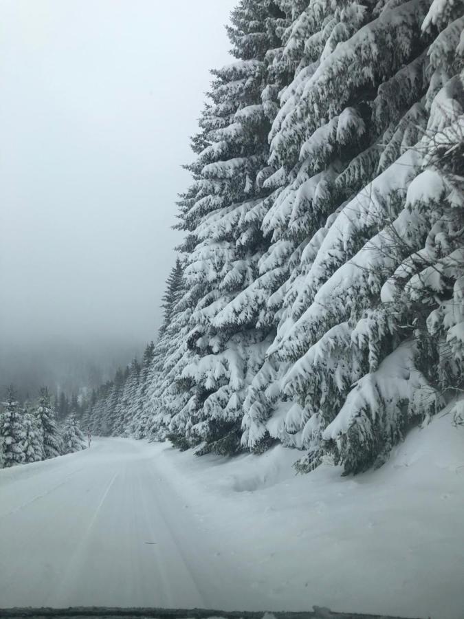 Silver Mountain Milmari Kopaonik Eksteriør billede